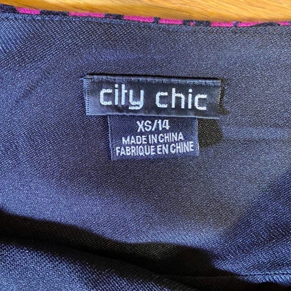 BNWOT CITY CHIC Border Flock Fit & Flare Dress - Picture 12 of 13